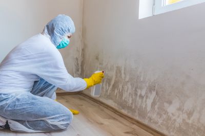 Removing Mold and Mildew