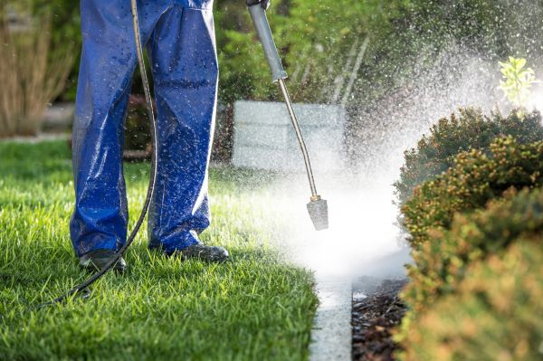 Cost of Curb Cleaning in Jonesboro