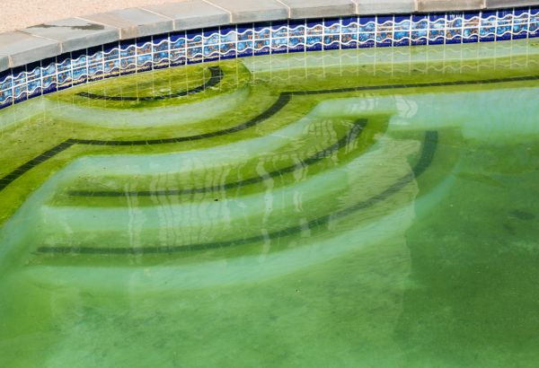 Pool Deck Algae Removal in Jonesboro