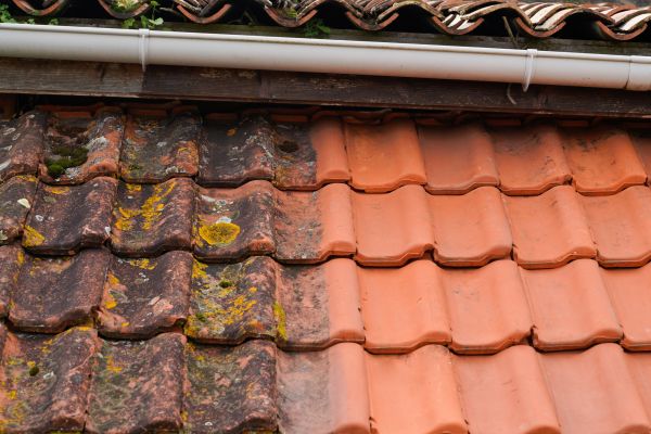 Industrial Roof Cleaning in Jonesboro