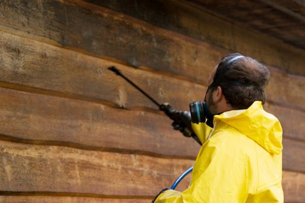 Cedar Siding Washing in Jonesboro